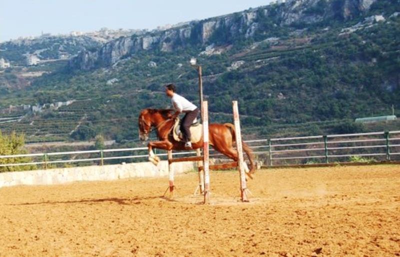 Golden Lili Resort & Spa Aley Ανέσεις φωτογραφία